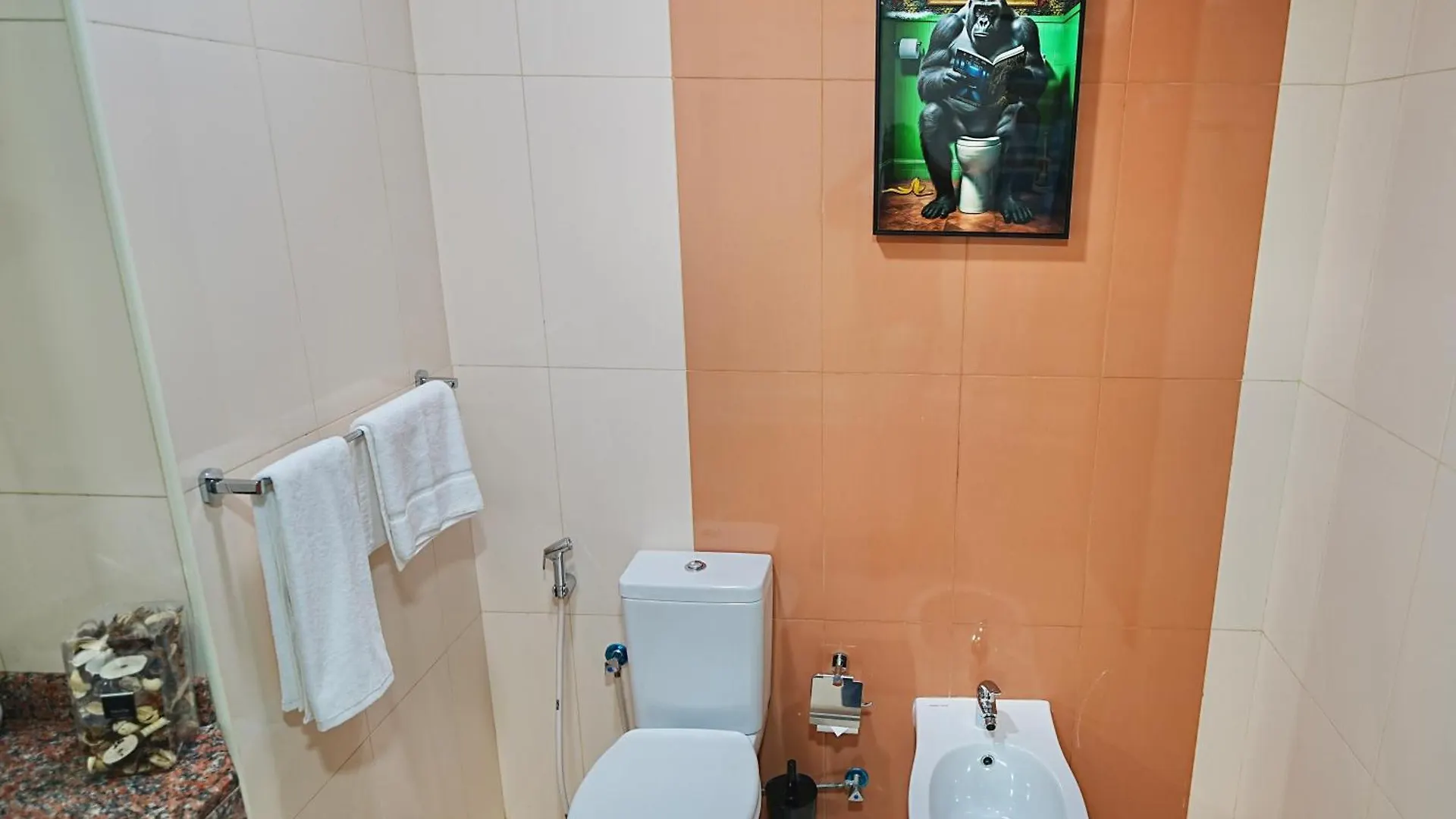 Apartamento Stylish Canal View Studio In Reem By Ayla